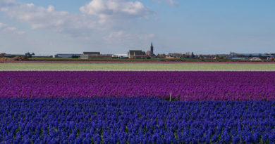 Fotos de primavera