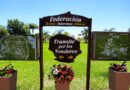 Regreso a las fuentes o el viaje a Federación